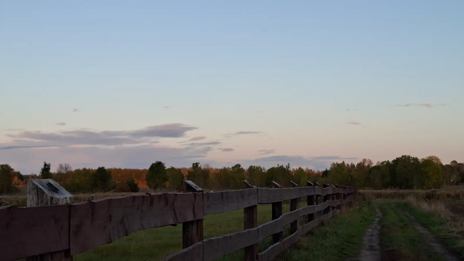 Zdjęcie o proporcjach panoramicznych ukazuje wiejski krajobraz o zachodzie słońca, gdzie głównym elementem kompozycyjnym jest długi, drewniany płot biegnący wzdłuż prawej strony kadru. Po prawej stronie widać polną ścieżkę, która prowadzi wzrok widza w głąb obrazu w stronę linii drzew znajdującej się w tle. Niebo utrzymane jest w pastelowych odcieniach błękitu i delikatnego różu, co sugeruje późną porę dnia lub wczesny świt. Drewniane ogrodzenie o surowej fakturze wyraźnie kontrastuje z otaczającą go zielenią pól i spokojną atmosferą przyrody. Całość zdjęcia utrzymana jest w nostalgicznym, wiejskim klimacie, podkreślającym naturalny urok terenów wiejskich.