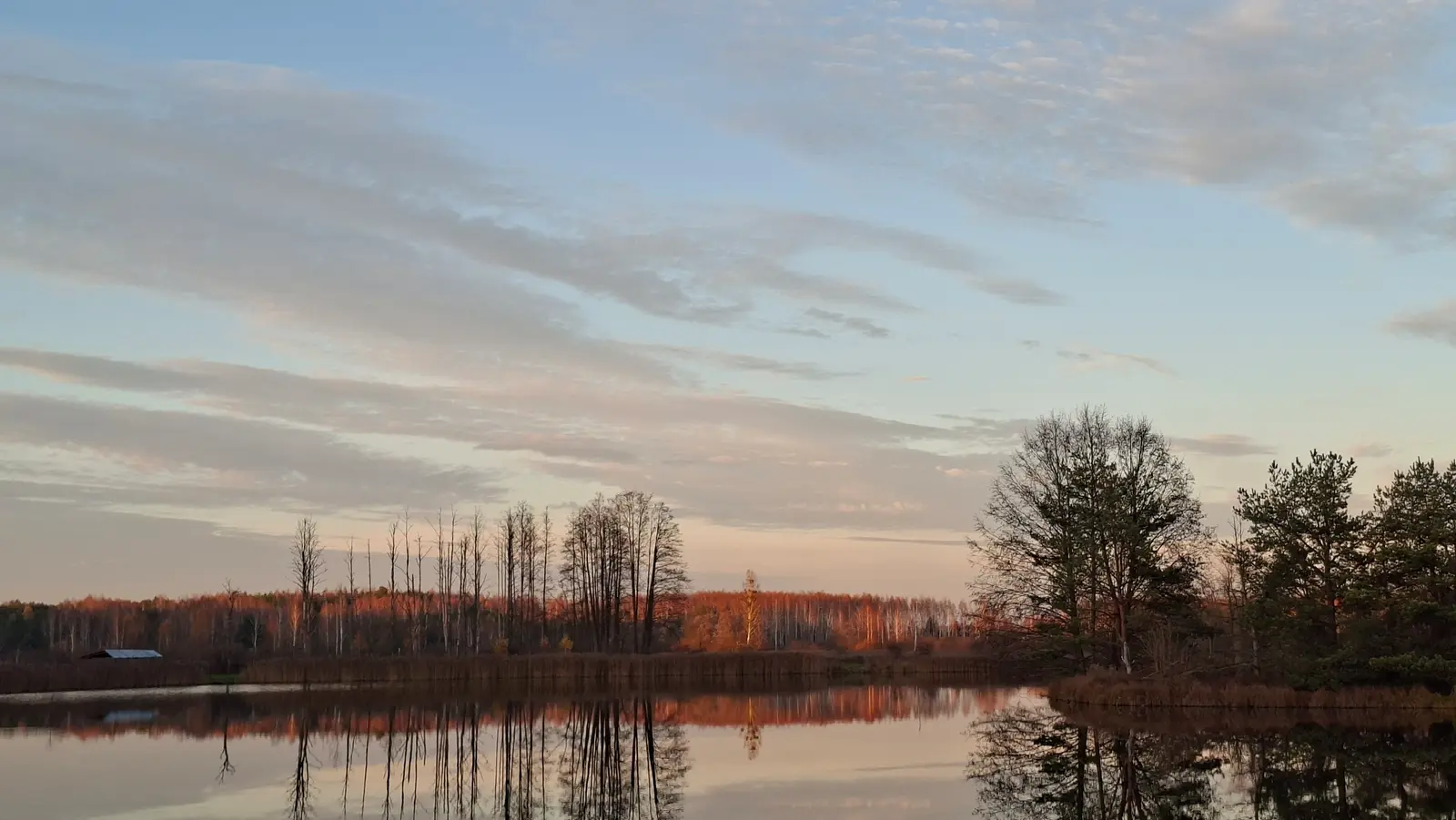 Zdjęcie krajobrazowe w formacie poziomym (panoramicznym) ukazuje spokojne jezioro o zachodzie słońca, w którego tafli idealnie odbijają się okoliczne drzewa. Po prawej stronie kadru widoczna jest grupa iglastych drzew, natomiast w tle rozciąga się pas lasu liściastego, skąpanego w ciepłych, pomarańczowych barwach późnego popołudnia. Niebo nad horyzontem jest wypełnione delikatnymi, wydłużonymi chmurami, które kontrastują z subtelnym błękitem i pastelowymi odcieniami zachodzącego słońca. Całość kompozycji zachowuje naturalną symetrię dzięki lustrzanemu odbiciu w wodzie, co nadaje zdjęciu harmonijnego i wyciszającego charakteru. Jest to idealna fotografia przyrodnicza do zastosowania jako szerokie tło na stronie internetowej, podkreślające spokój i piękno natury.
