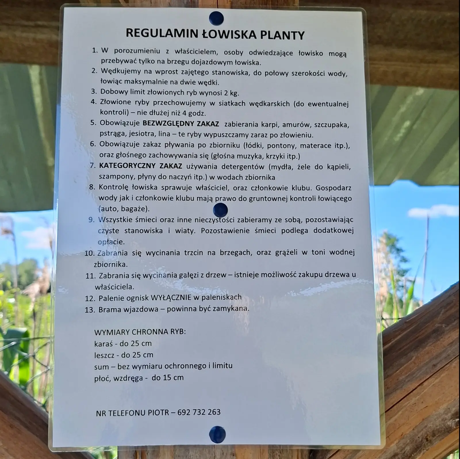 Zdjęcie przedstawia pionowo zorientowaną tablicę z regulaminem łowiska wędkarskiego, umieszczoną na drewnianej konstrukcji w otoczeniu przyrody. Dokument jest zalaminowany i przymocowany niebieskimi pinezkami, a jego treść jest wyraźnie widoczna na białym tle. Na tablicy znajduje się nagłówek „REGULAMIN ŁOWISKA PLANTY” oraz 13 punktów szczegółowych dotyczących zasad połowu, ochrony środowiska i porządku na terenie obiektu. Poniżej regulaminu wymienione są wymiary ochronne ryb takich jak karaś, leszcz, sum, płoć i wzdręga, a na samym dole podano numer telefonu kontaktowego do Piotra: 692 732 263. Układ graficzny jest czytelny, z czarnym tekstem wyśrodkowanym na jasnym arkuszu, co ułatwia lekturę przepisów odwiedzającym łowisko. W tle widać rozmyte zarysy trzcin oraz błękitne niebo, co sugeruje lokalizację nad zbiornikiem wodnym.